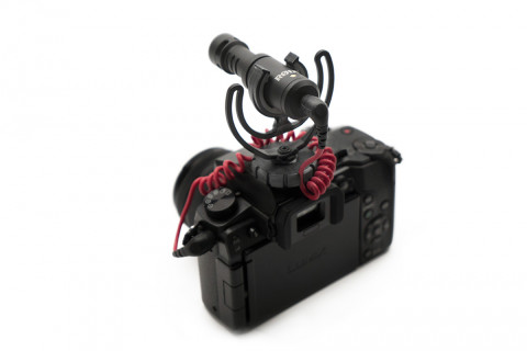 RODE VideoMicro - Mikrofon do kamery - Galeria zdjęcie 3