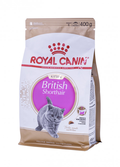 ROYAL CANIN British Shorthair Kitten 0,4kg - Galeria zdjęcie 1