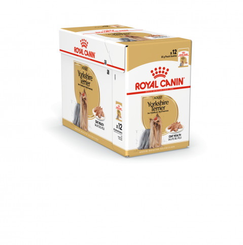 ROYAL CANIN BHN Yorkshire Terrier Adult - mokra karma dla psa dorosłego - 12x85 g - Galeria zdjęcie 10