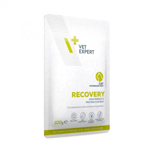VET EXPERT Veterinary Diet Recovery Cat - mokra karma dla kota - 100g - Galeria zdjęcie 2