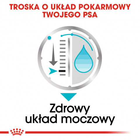 ROYAL CANIN CCN Urinary Care Loaf - mokra karma dla psa dorosłego - 12x85g - Galeria zdjęcie 9