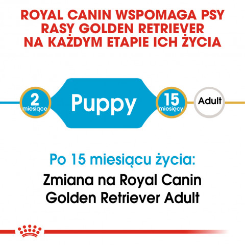 ROYAL CANIN BHN Golden Retriever Puppy - sucha karma dla szczeniąt - 12 kg - Galeria zdjęcie 5