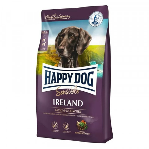 happy-dog-sensible-irland.jpg