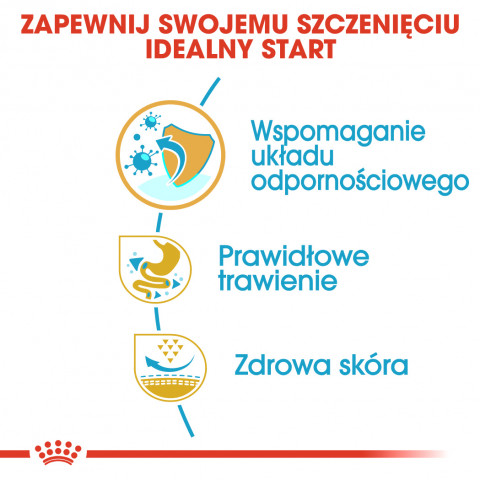 ROYAL CANIN BHN French Bulldog Puppy - sucha karma dla szczeniąt - 3 kg - Galeria zdjęcie 4