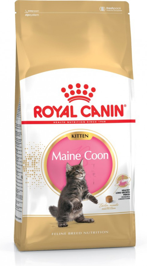 ROYAL CANIN FBN Maine Coon Kitten - sucha karma dla kociąt - 4 kg - Galeria zdjęcie 2