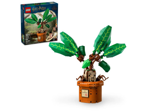 LEGO Harry Potter 76433 Mandragora - Galeria zdjęcie 1