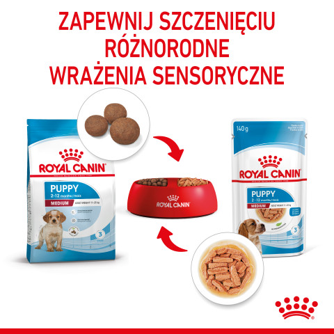 ROYAL CANIN SHN Medium Puppy w sosie - mokra karma dla szczeniąt - 10X140g - Galeria zdjęcie 11