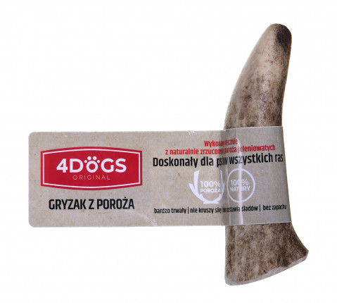 DLZ4DOKSP0001_1.jpg