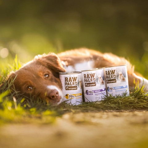 VET EXPERT Raw Paleo Adult Monoprotein Indyk - mokra karma dla psa - 800g - Galeria zdjęcie 5