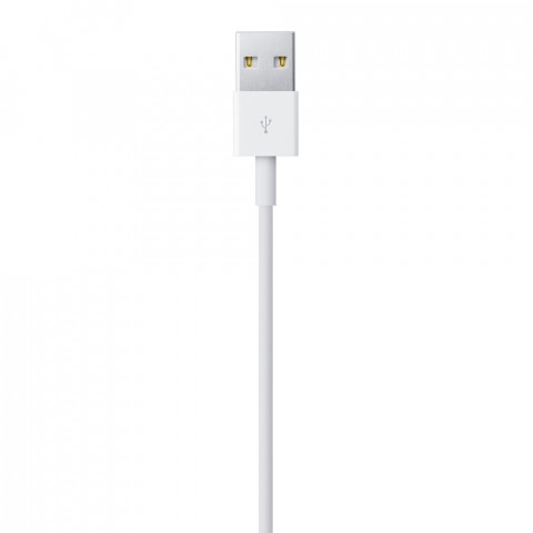 Apple Lightning to USB Cable (1m) - Galeria zdjęcie 4