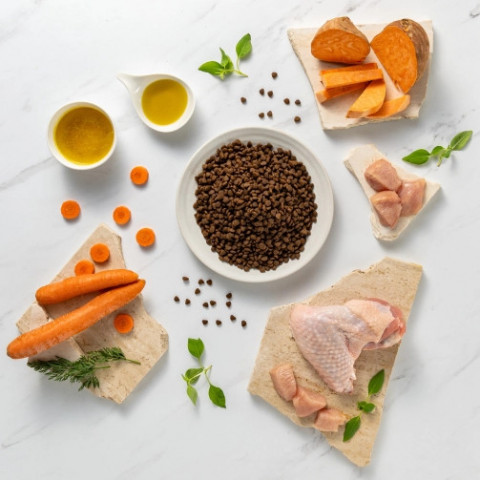 VET EXPERT Raw Paleo Ultra Mini Puppy Indyk - sucha karma dla szczeniąt - 750g - Galeria zdjęcie 4