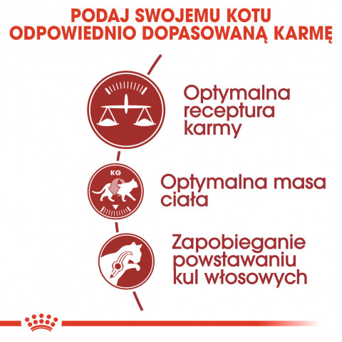 ROYAL CANIN FHN Regular Fit 32 - sucha karma dla kota dorosłego - 400 g - Galeria zdjęcie 7