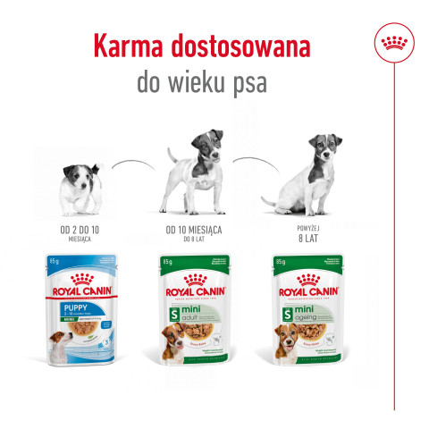 ROYAL CANIN SHN Mini Adult w sosie - mokra karma dla psa - 12x85 g - Galeria zdjęcie 8