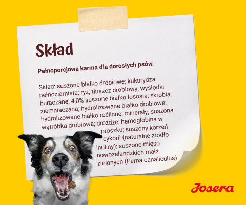 JOSERA Adult Festival - sucha karma dla psa - 12,5kg + GRATIS - Galeria zdjęcie 10
