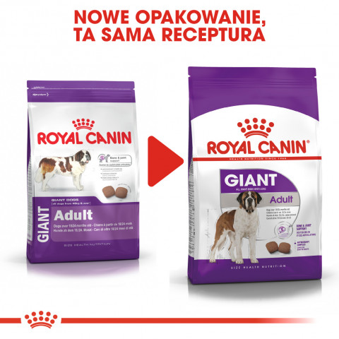 ROYAL CANIN SHN Giant Adult - sucha karma dla psa dorosłego - 15 kg - Galeria zdjęcie 9