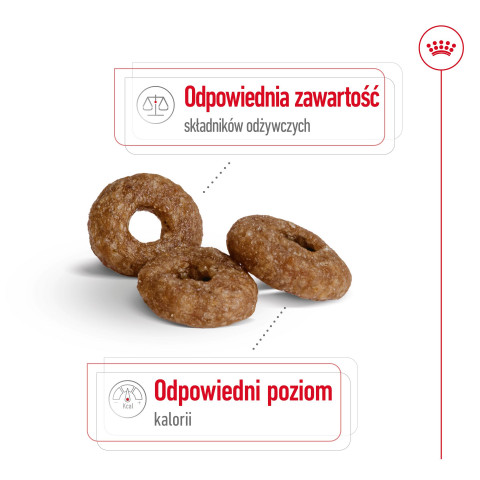 ROYAL CANIN Mini Ageing 12+ - sucha karma dla psa - 3,5 kg - Galeria zdjęcie 6
