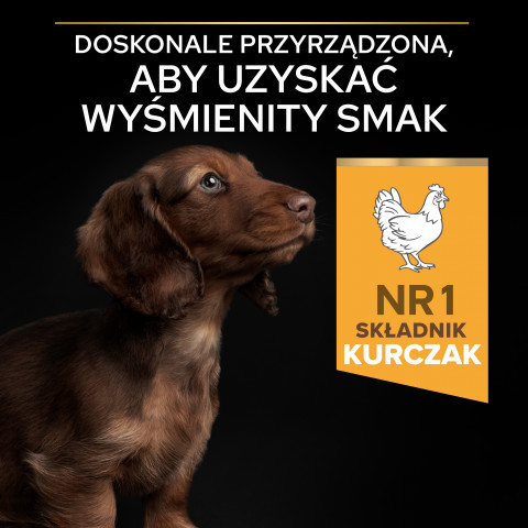 PURINA PRO PLAN Puppy Small & Mini - sucha karma dla szczeniąt - 7kg - Galeria zdjęcie 5