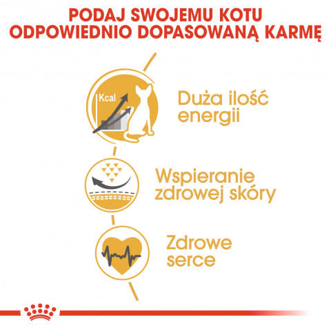 ROYAL CANIN FBN Sphynx Adult - sucha karma dla dorosłego kota - 2kg - Galeria zdjęcie 9