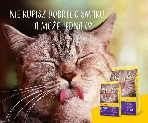 JOSERA Culinesse - sucha karma dla kota - 10 kg - Galeria zdjęcie 6