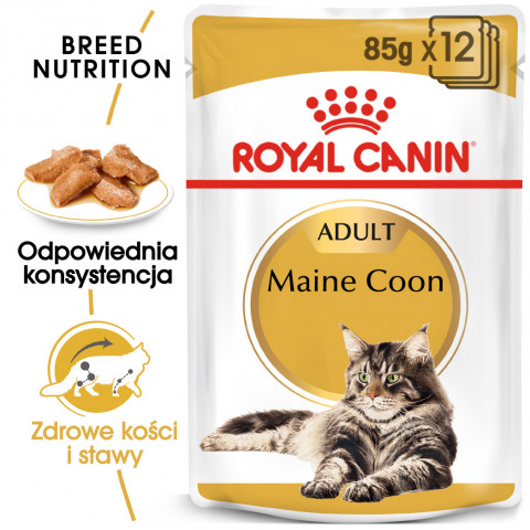 Royal Canin FBN Maine Coon Adult - mokra karma dla dorosłego kota - 12x85 g - Galeria zdjęcie 8