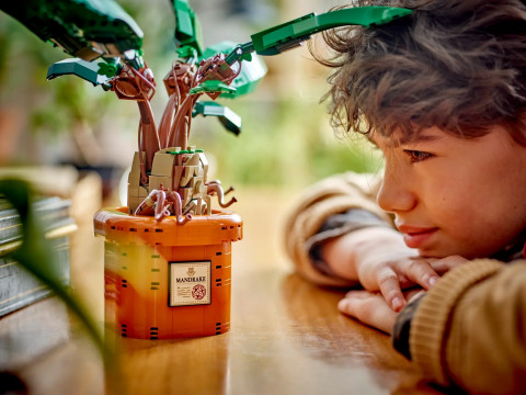 LEGO Harry Potter 76433 Mandragora - Galeria zdjęcie 8