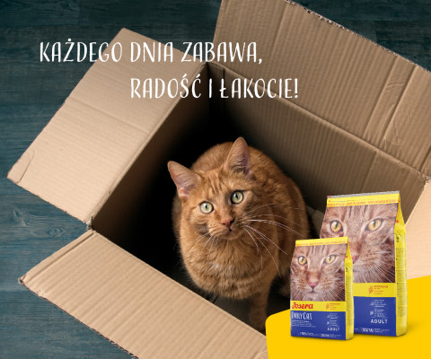 JOSERA DailyCat - sucha karma dla kota - 10kg - Galeria zdjęcie 5