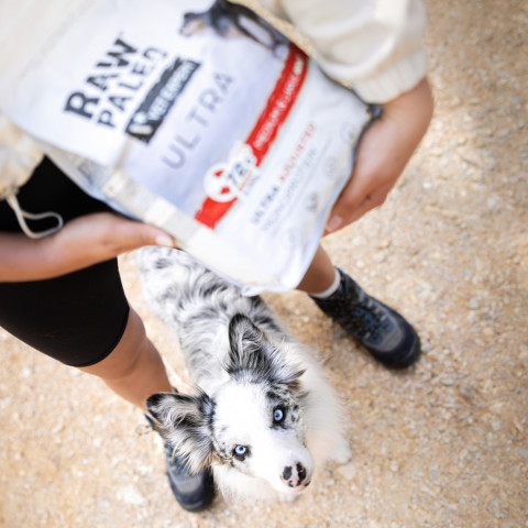 VET EXPERT Raw Paleo Ultra Medium&Large Puppy Wołowina - sucha karma dla szczeniąt - 10kg - Galeria zdjęcie 6