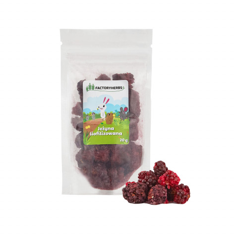 FACTORY HERBS Jeżyna liofilizowana - przysmak dla gryzoni i królika - 20g - Galeria zdjęcie 1