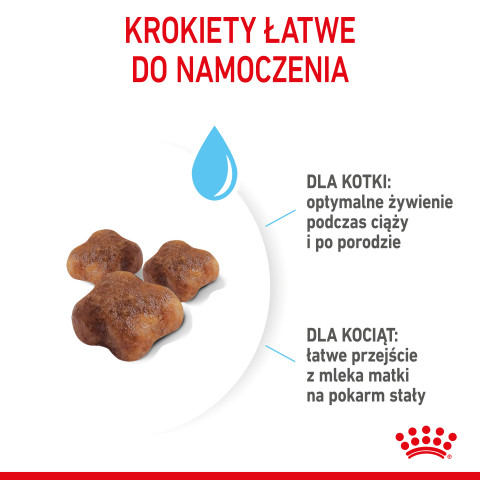 ROYAL CANIN Mother & Babycat 34 2kg - Galeria zdjęcie 11