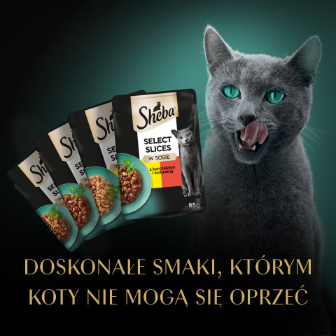 SHEBA Selection in Sauce Soczyste Smaki - Galeria zdjęcie 6
