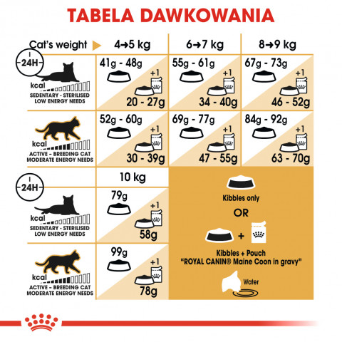 Royal Canin FBN Maine Coon Adult - sucha karma dla kota dorosłego - 4 kg - Galeria zdjęcie 5