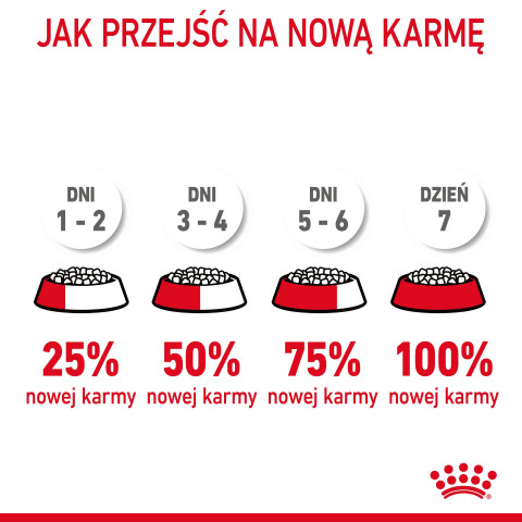 ROYAL CANIN FCN Digestive Care - sucha karma dla kota dorosłego - 4 kg - Galeria zdjęcie 9