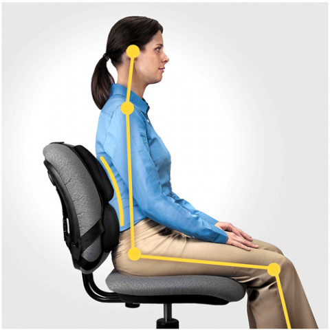 Fellowes Ergonomia podpórka poduszka profesjonalna pod plecy - Galeria zdjęcie 3