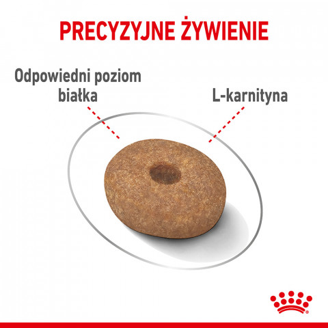Royal Canin CCN MINI LIGHT WEIGHT CARE - sucha karma dla psa dorosłego - 3kg - Galeria zdjęcie 7
