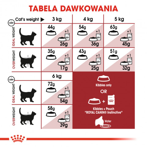 ROYAL CANIN FHN Regular Fit 32 - sucha karma dla kota dorosłego - 400 g - Galeria zdjęcie 10