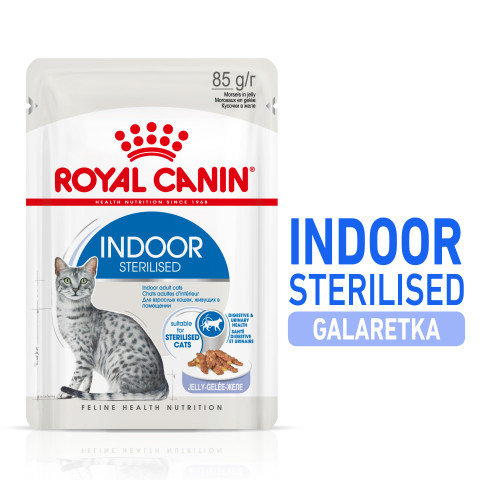 ROYAL CANIN FHN Indoor w galaretce - mokra karma dla kota dorosłego - 12x85 g - Galeria zdjęcie 5
