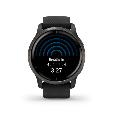 Zegarek Garmin Venu 2 (45 mm) Slate Stainless Steel Bezel / Black Case / Silicone Band - Galeria zdjęcie 15