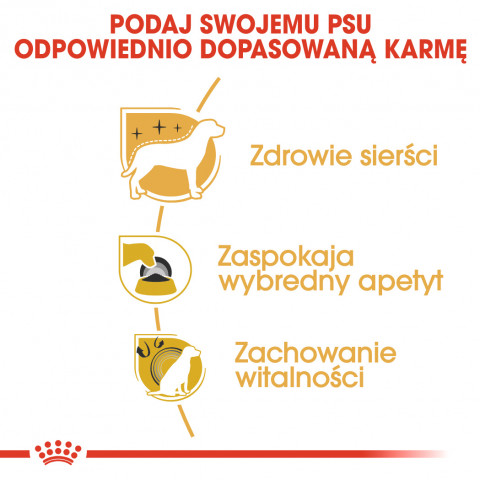 ROYAL CANIN BHN Yorkshire Terrier Adult - sucha karma dla psa dorosłego - 7,5 kg - Galeria zdjęcie 5