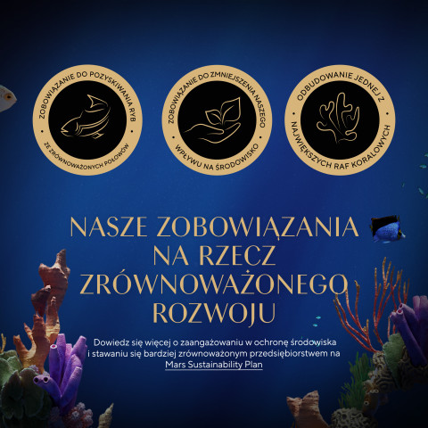 SHEBA Nature's Collection Drobiowe smaki w galarecie- Junior Kurczak/Łosoś - Mokra karma dla kota 40x85g - Galeria zdjęcie 5