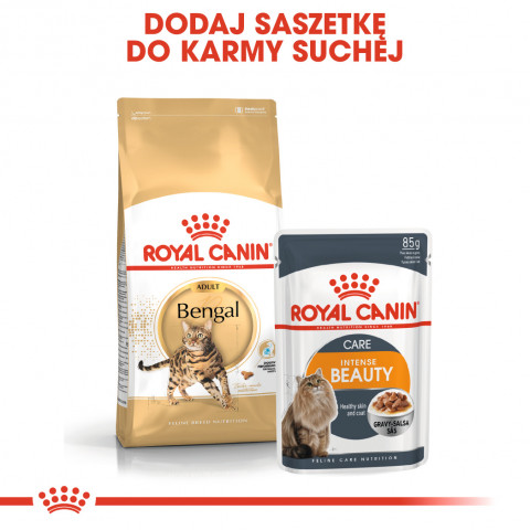 ROYAL CANIN Bengal Adult - sucha karma dla dorosłego kota - 10 kg - Galeria zdjęcie 8