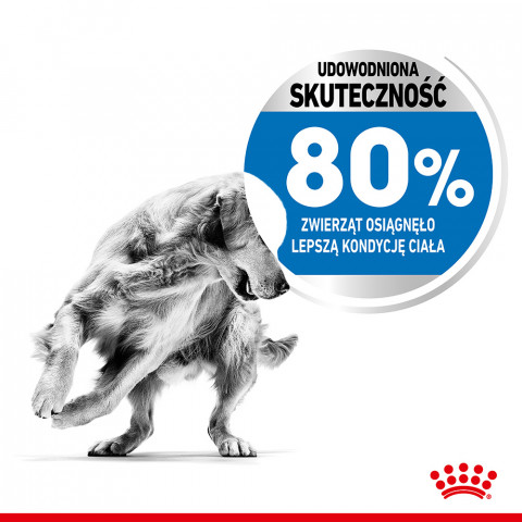 ROYAL CANIN CCN MEDIUM LIGHT WEIGHT CARE - sucha karma dla psa dorosłego - 3kg - Galeria zdjęcie 6