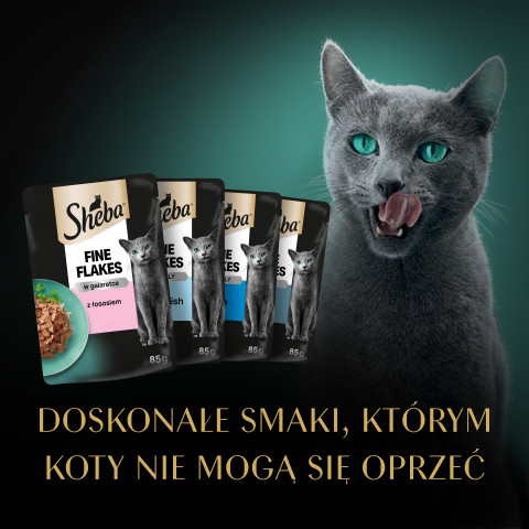 Sheba Delicacy Rybne Smaki w galaretce 80x85g - Galeria zdjęcie 5