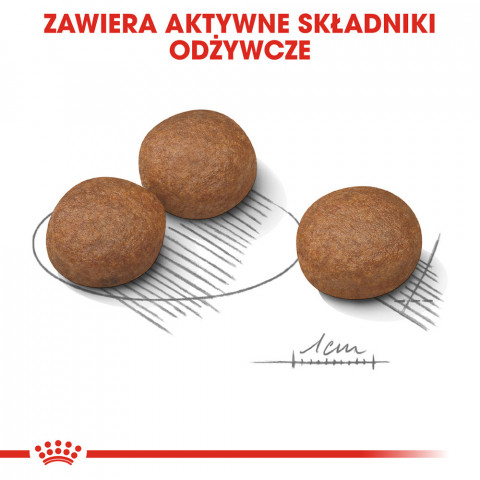 ROYAL CANIN CCN MEDIUM DIGESTIVE CARE - sucha karma dla psa dorosłego - 3 kg - Galeria zdjęcie 7