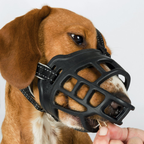 TRIXIE Muzzle Flex - kaganiec dla psa - rozmiar L-XL - czarny - Galeria zdjęcie 4