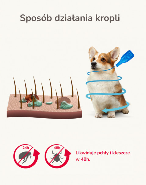 BEAPHAR FIPROtec Krople przeciw pchłom i kleszczom dla psa XL - 1x268 mg - Galeria zdjęcie 4
