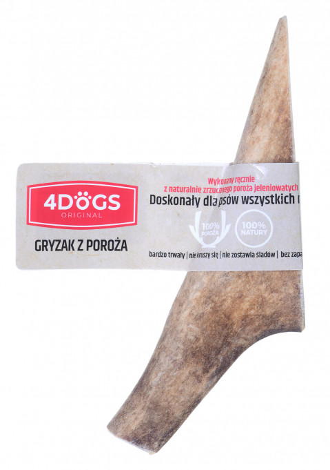 DLZ4DOKSP0018_1.jpg