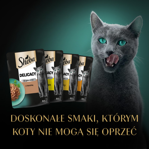 SHEBA Delicacy in Jelly Smaki Drobiowe - mokra karma dla kota - saszetka - 12x85 g - Galeria zdjęcie 14