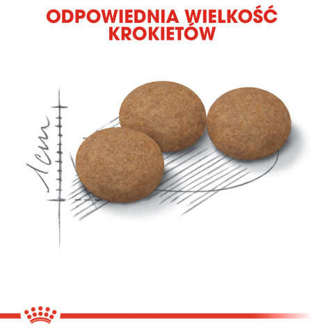 ROYAL CANIN Senior Ageing 12+ Sterilised - sucha karma dla kota - 400 g - Galeria zdjęcie 3