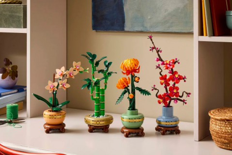 LEGO ICONS 10344 Botanicals - Dracena sandera - Galeria zdjęcie 9