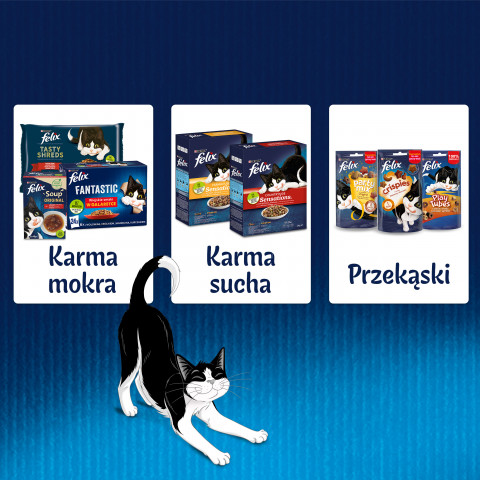 PURINA Felix Sensation: wiejskie smaki - karma dla kota - 120x85 g - Galeria zdjęcie 5